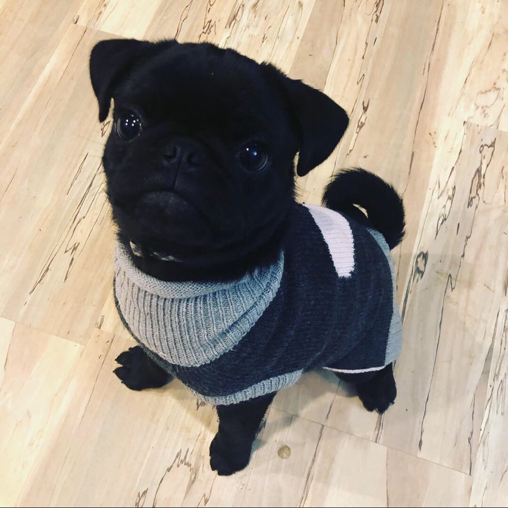 Meet your Posher, Valarie